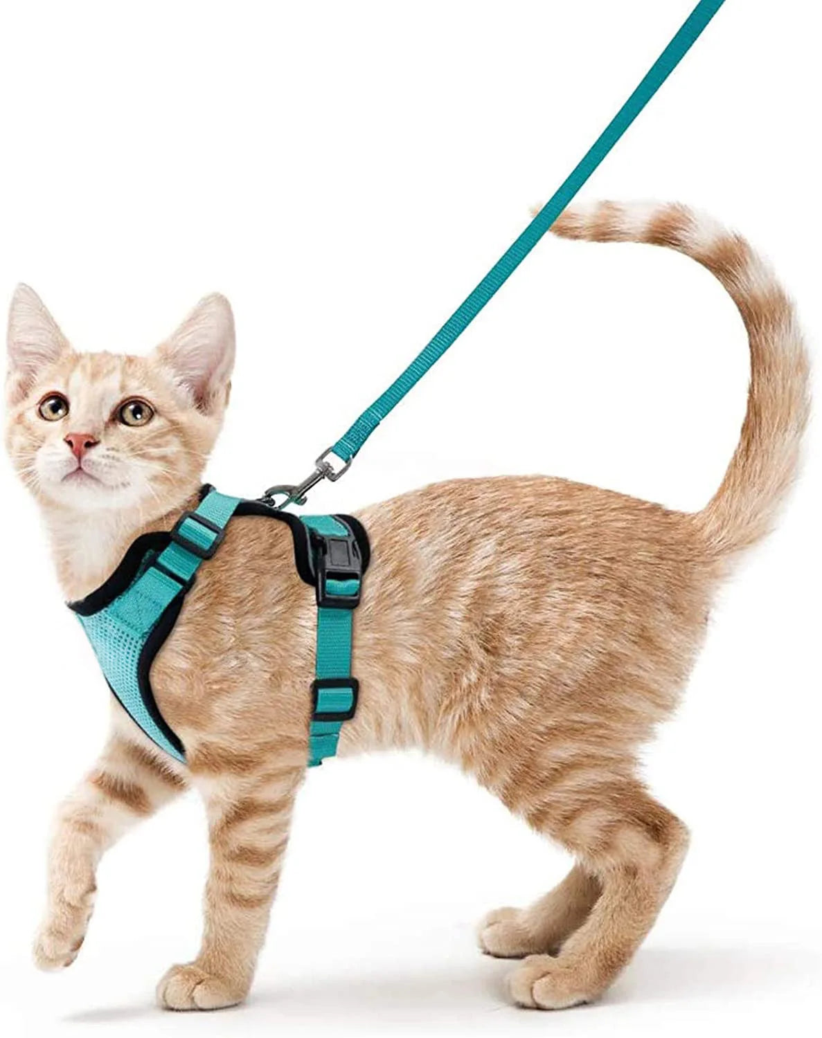 Ultimate Escape Proof Cat Harness and Leash Set – Soft, Adjustable Vest for Easy Control During Walks