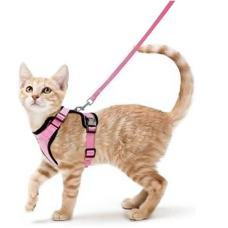 Ultimate Escape Proof Cat Harness and Leash Set – Soft, Adjustable Vest for Easy Control During Walks