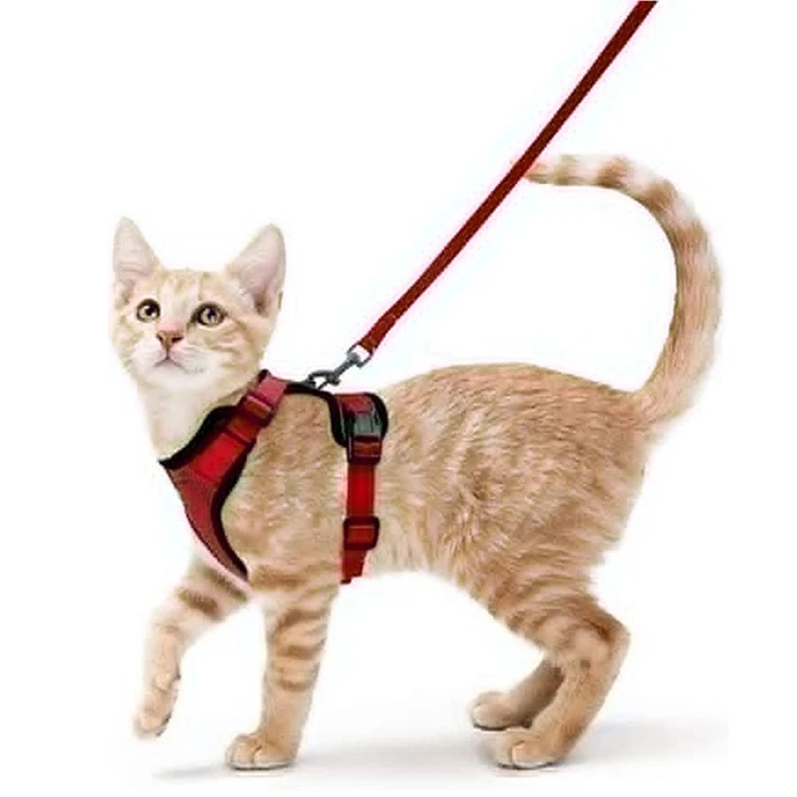 Ultimate Escape Proof Cat Harness and Leash Set – Soft, Adjustable Vest for Easy Control During Walks