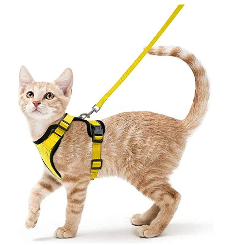 Ultimate Escape Proof Cat Harness and Leash Set – Soft, Adjustable Vest for Easy Control During Walks