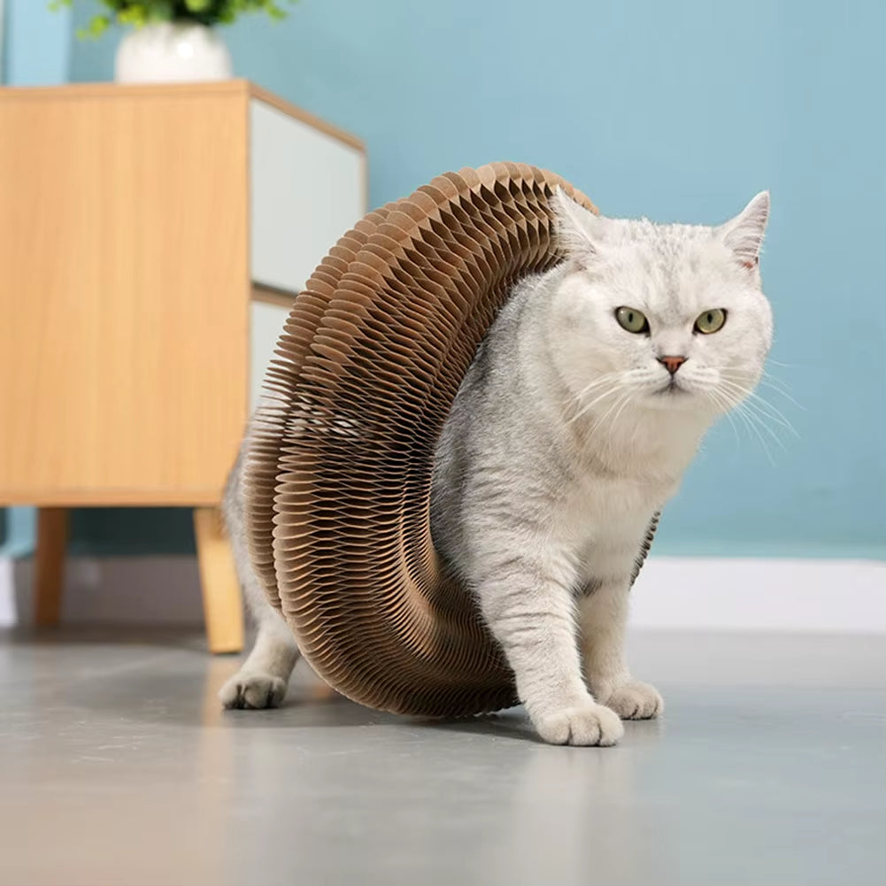 Engage your Cat with the Magic Organ Cat Scratching Board - Unique Interactive Toy and Scratcher for Happy Paws!