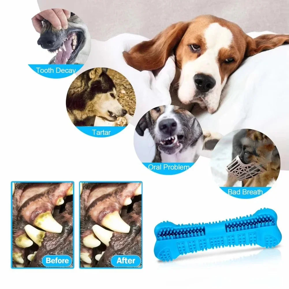 Revolutionary 360° Soft Rubber Dog Toothbrush & Chew Toy - Ultimate Dental Care for Small Dogs!