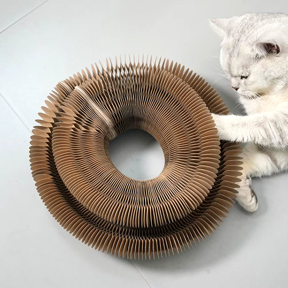 Engage your Cat with the Magic Organ Cat Scratching Board - Unique Interactive Toy and Scratcher for Happy Paws!