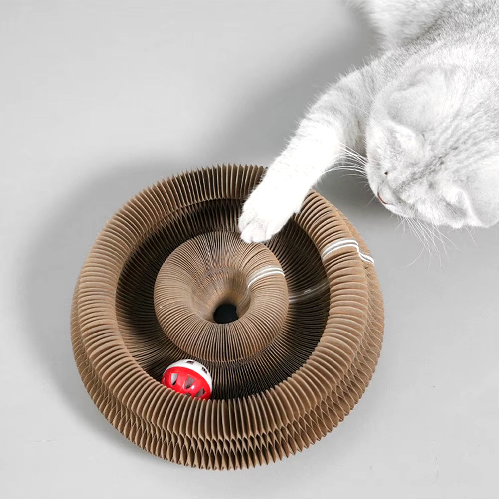 Engage your Cat with the Magic Organ Cat Scratching Board - Unique Interactive Toy and Scratcher for Happy Paws!