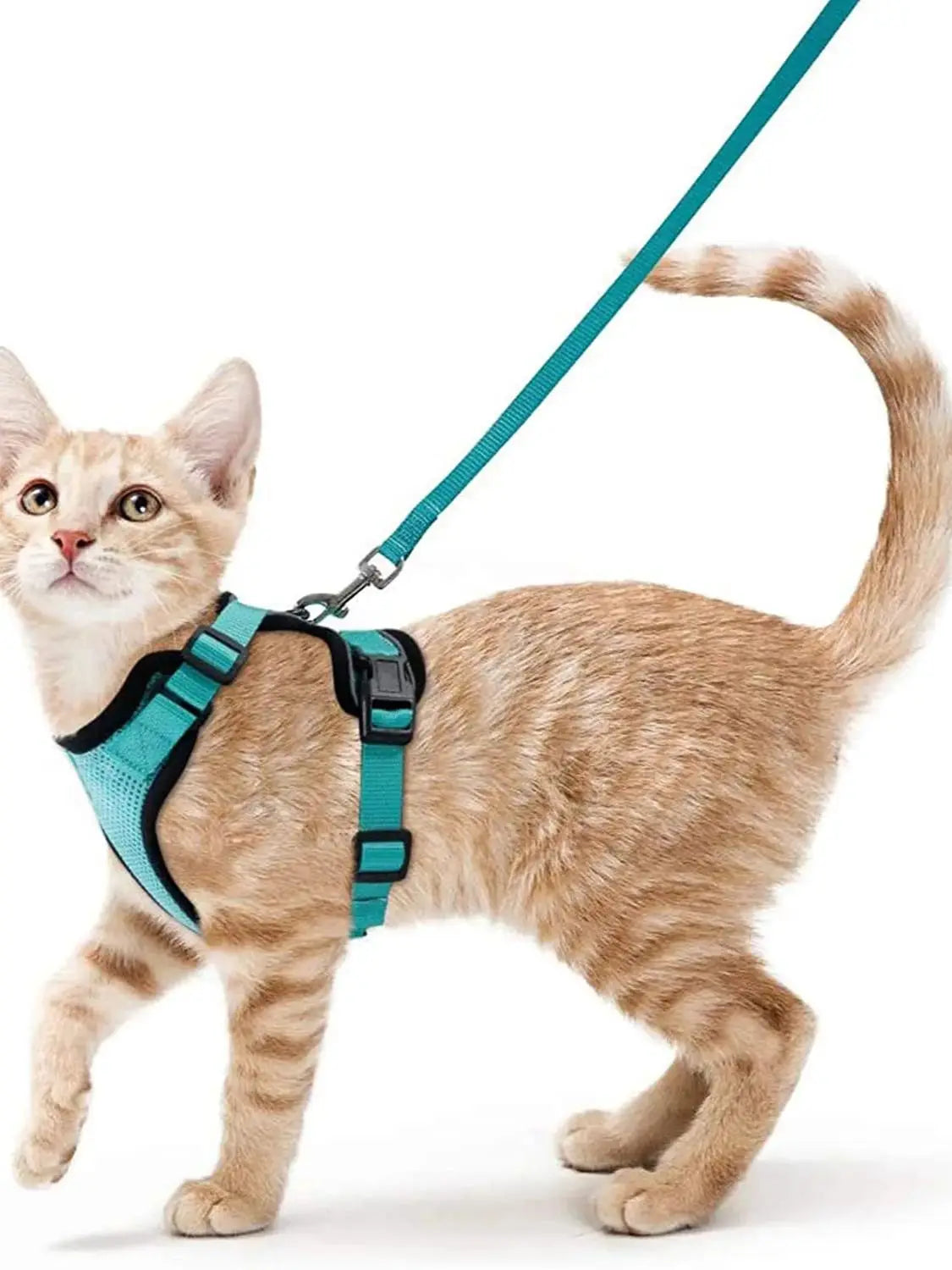 Ultimate Escape Proof Cat Harness and Leash Set – Soft, Adjustable Vest for Easy Control During Walks