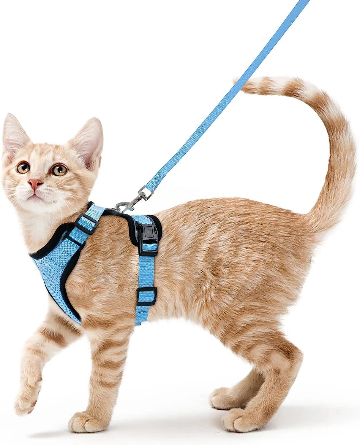 Ultimate Escape Proof Cat Harness and Leash Set – Soft, Adjustable Vest for Easy Control During Walks