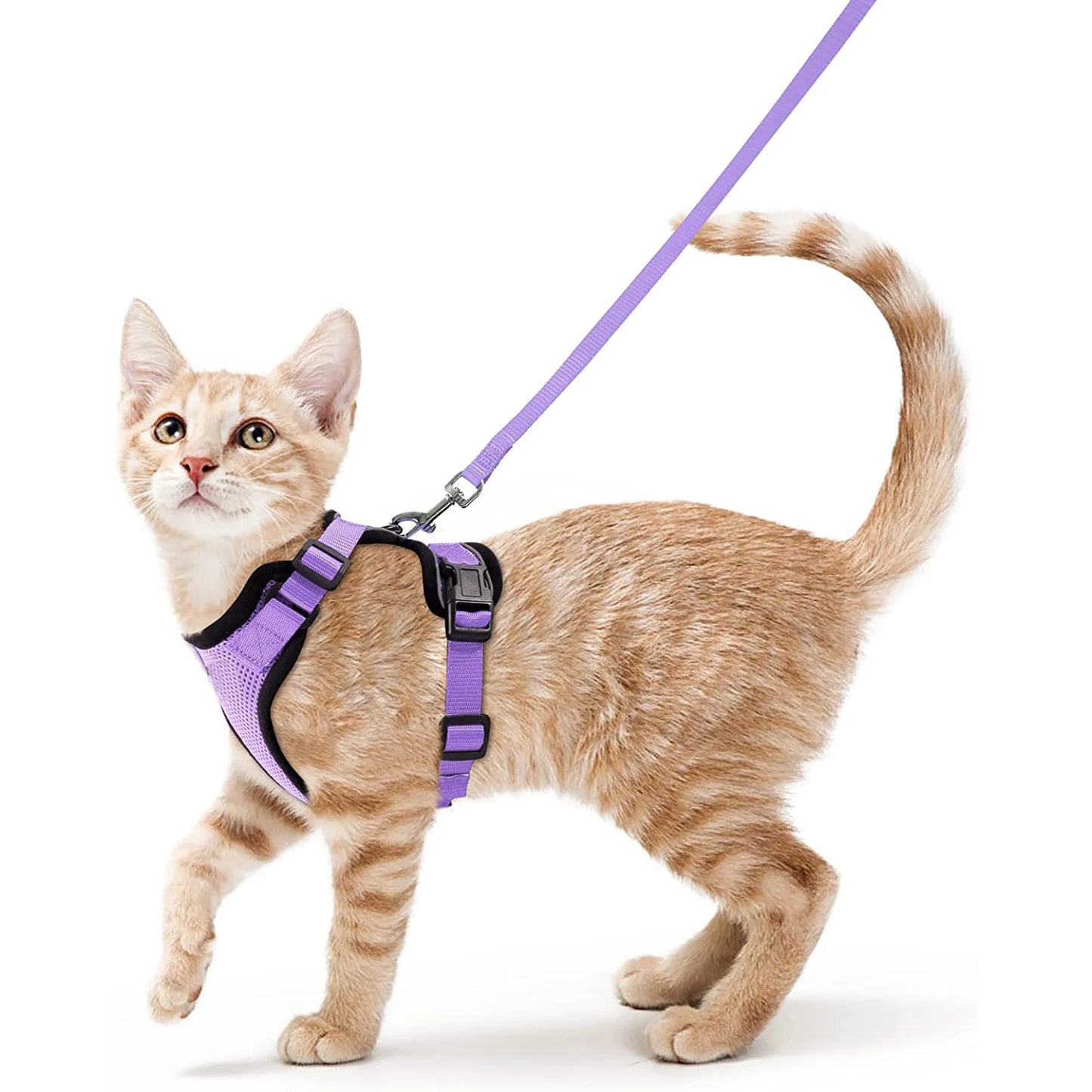 Ultimate Escape Proof Cat Harness and Leash Set – Soft, Adjustable Vest for Easy Control During Walks