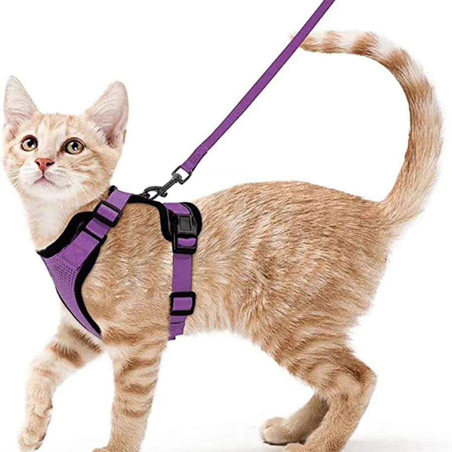 Ultimate Escape Proof Cat Harness and Leash Set – Soft, Adjustable Vest for Easy Control During Walks