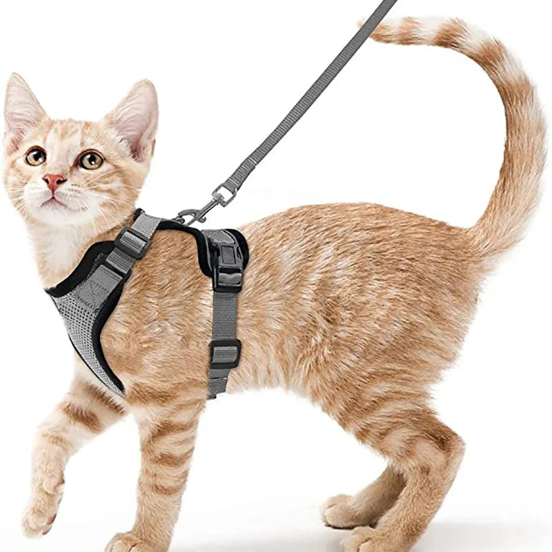 Ultimate Escape Proof Cat Harness and Leash Set – Soft, Adjustable Vest for Easy Control During Walks
