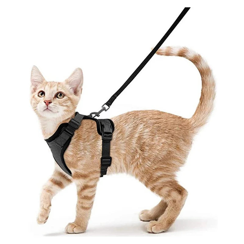 Ultimate Escape Proof Cat Harness and Leash Set – Soft, Adjustable Vest for Easy Control During Walks