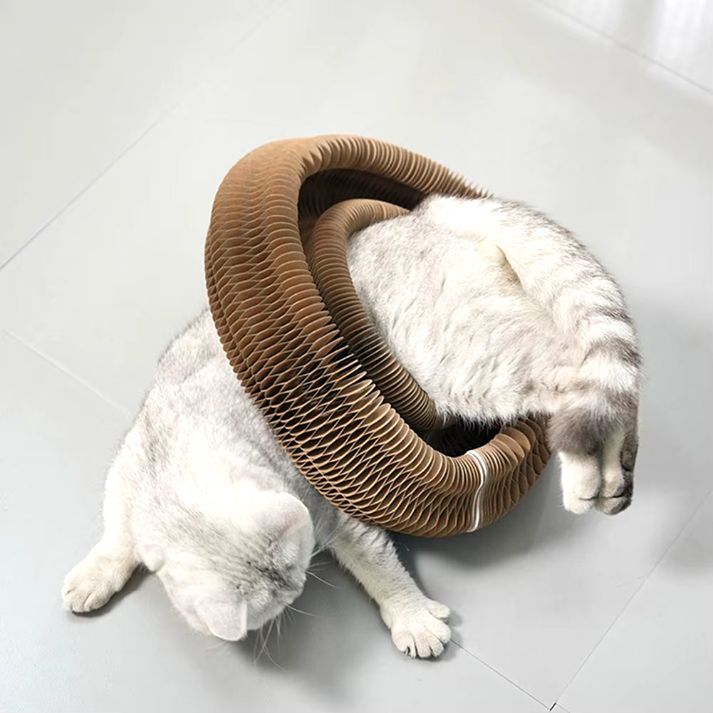 Engage your Cat with the Magic Organ Cat Scratching Board - Unique Interactive Toy and Scratcher for Happy Paws!